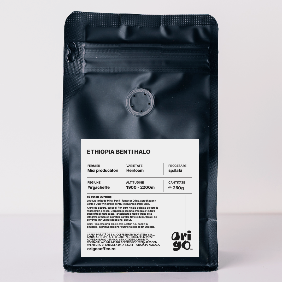 ETHIOPIA BENTI HALO (FILTER)